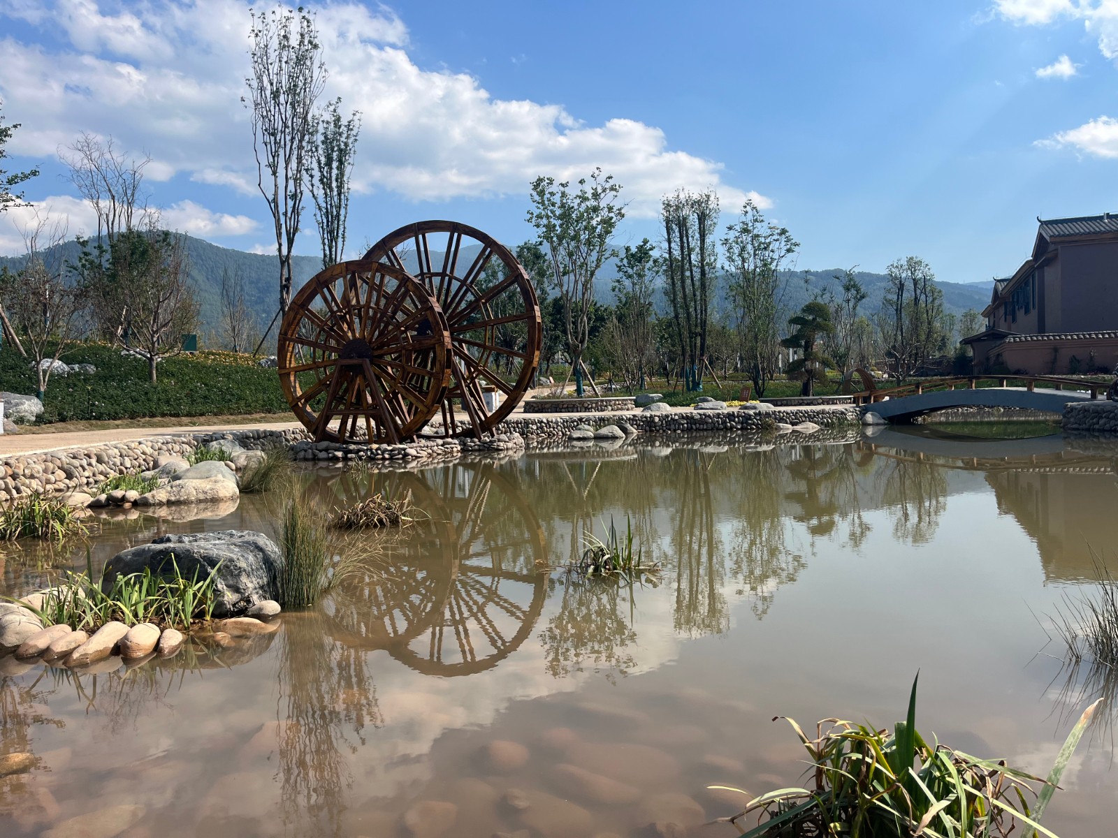 2026世界杯园林绿化维护